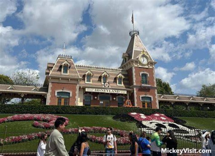 ディズニーランド今日の来場者数は？混雑状況と入場者数の徹底解説